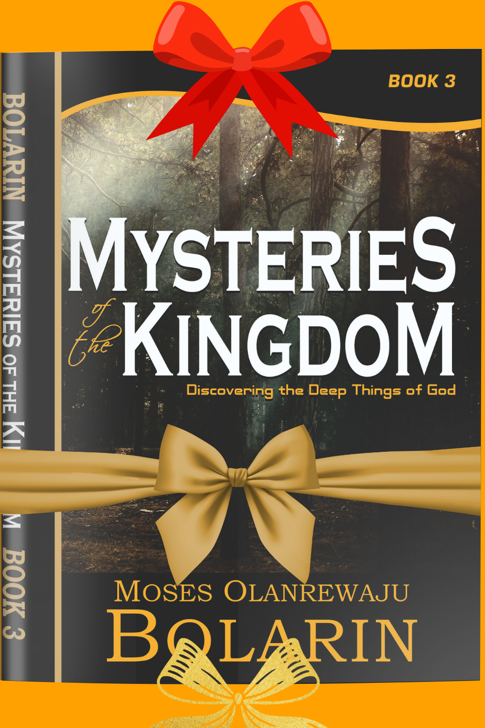 Mysteries of the Kingdom Book Cover